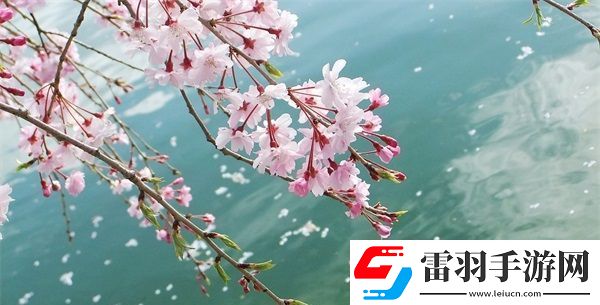 hp公交車灌溉系統(tǒng)幾個莊主工人