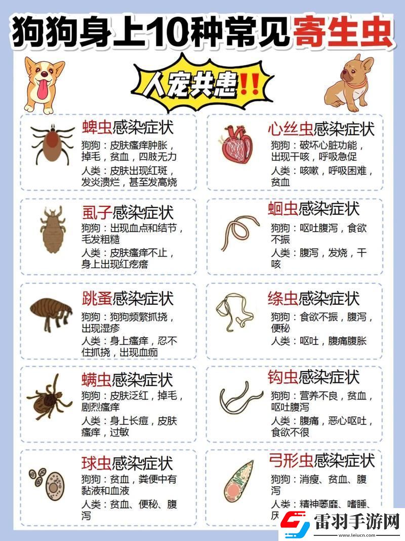 “汪星人的體內(nèi)迷宮