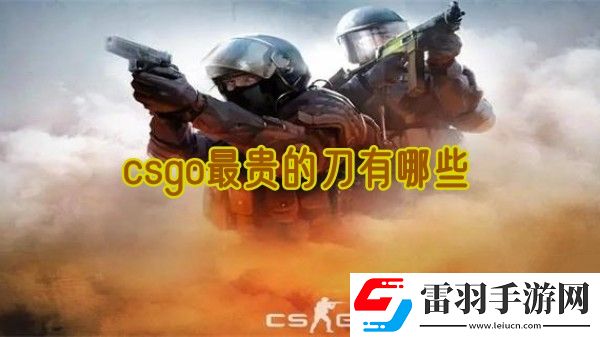 csgo最貴的刀有哪些