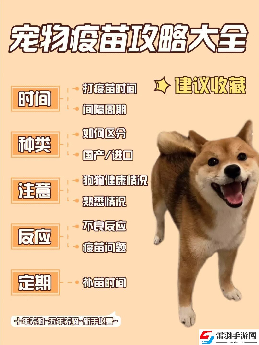 “汪星人的體內(nèi)迷宮