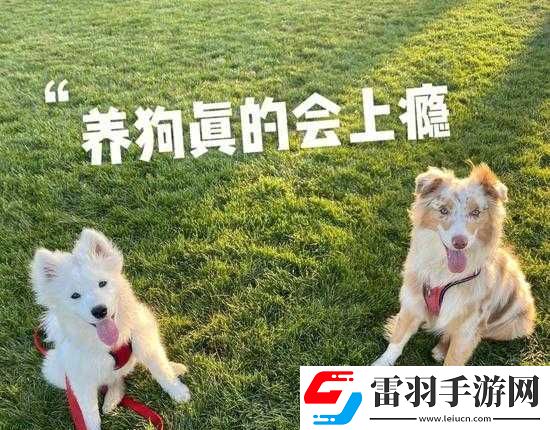 被自己家狗上癮了怎么辦