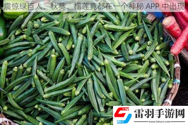 震驚綠巨人、秋葵、榴蓮竟都在一個(gè)神秘