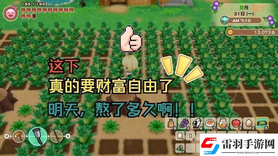 牧場物語重聚礦石鎮(zhèn)