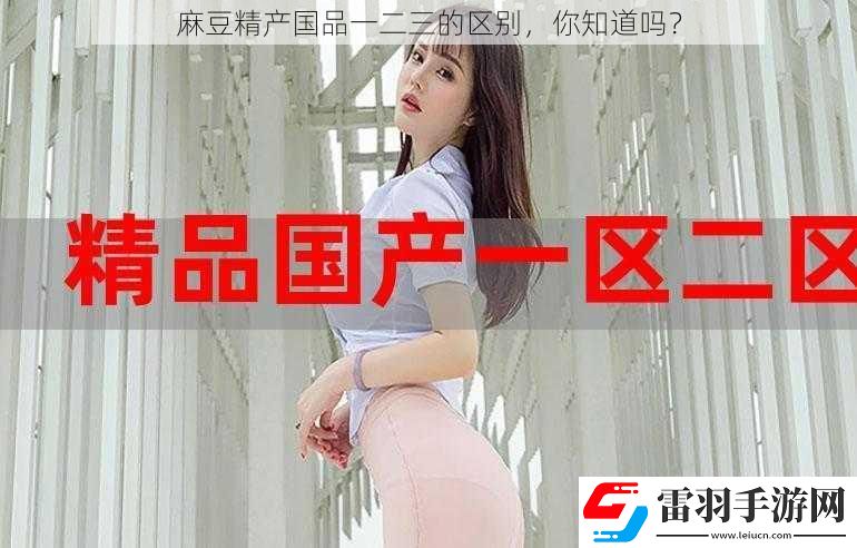 麻豆精產(chǎn)國品一二三的區(qū)別