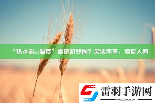 “熱水器h1溫度”震撼游戲圈笑談網(wǎng)事調(diào)侃人間