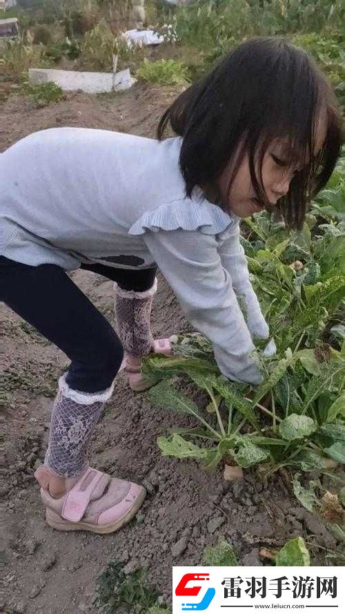 12歲女孩拔蘿卜最有效