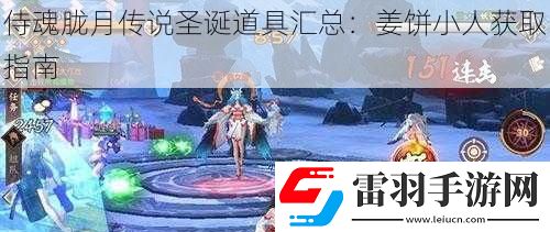侍魂朧月傳說圣誕道具匯總