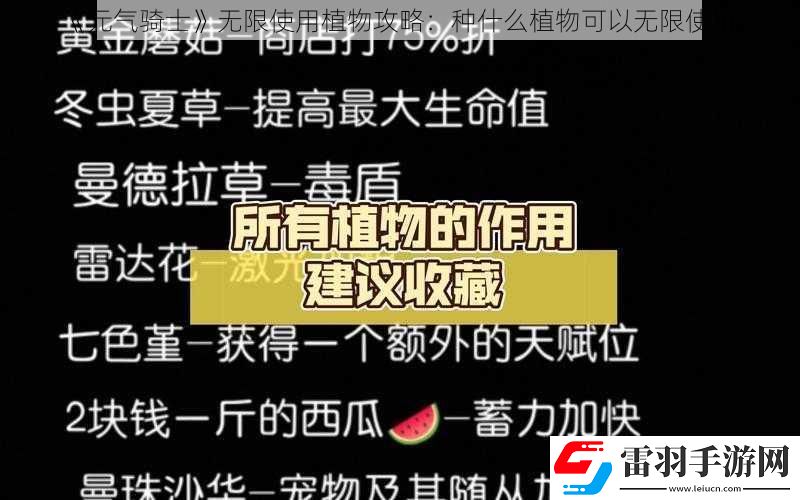 元?dú)怛T士無(wú)限使用植物攻略