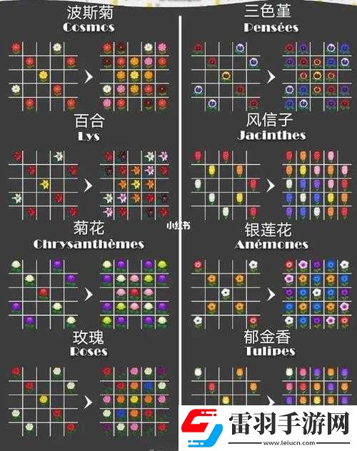 動物森友會雜交花種植方法
