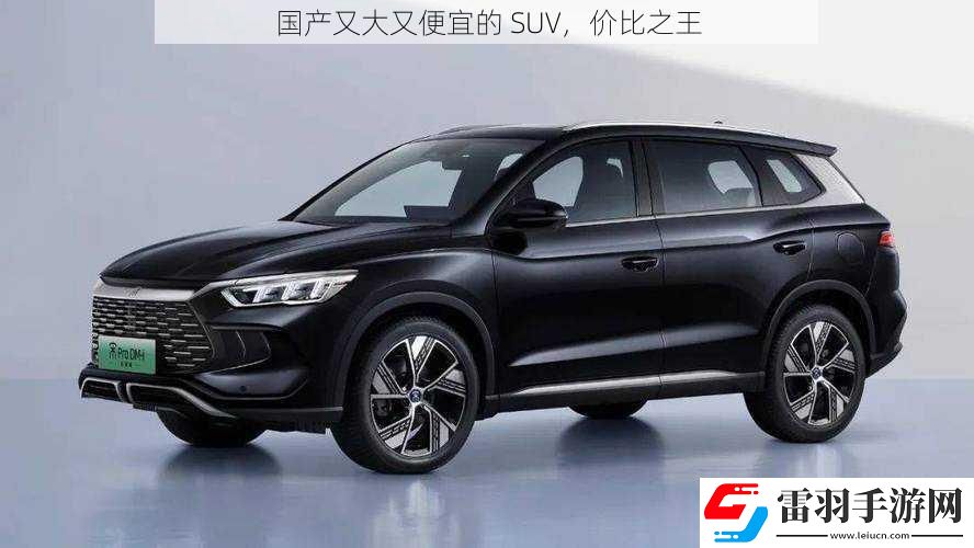 國產(chǎn)又大又便宜的