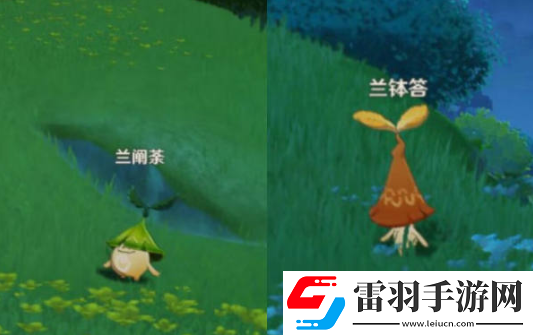 原神須請安全玩耍攻略