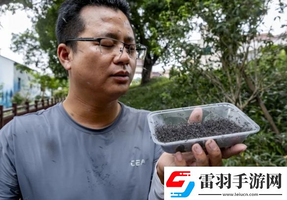 廣州一村每周放出30萬(wàn)只絕育蚊子
