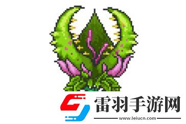 泰拉瑞亞如何召喚世紀(jì)之花