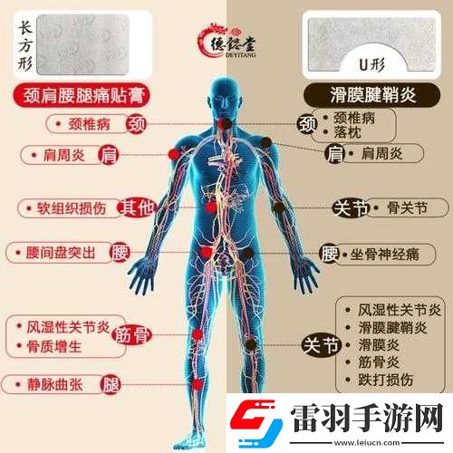 頸腰挺過(guò)那層薄膜好疼痛緩解方法