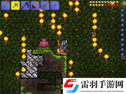 泰拉瑞亞如何召喚世紀(jì)之花