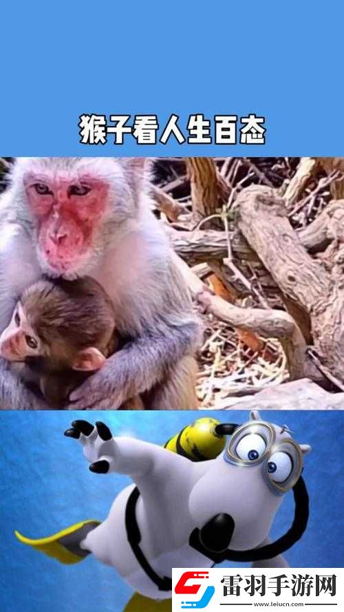 人生猴子不愛(ài)妹子