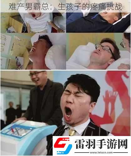 難產(chǎn)男霸總