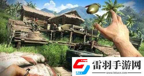 孤島驚魂3聯(lián)機(jī)攻略
