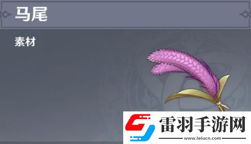 原神馬尾分布圖