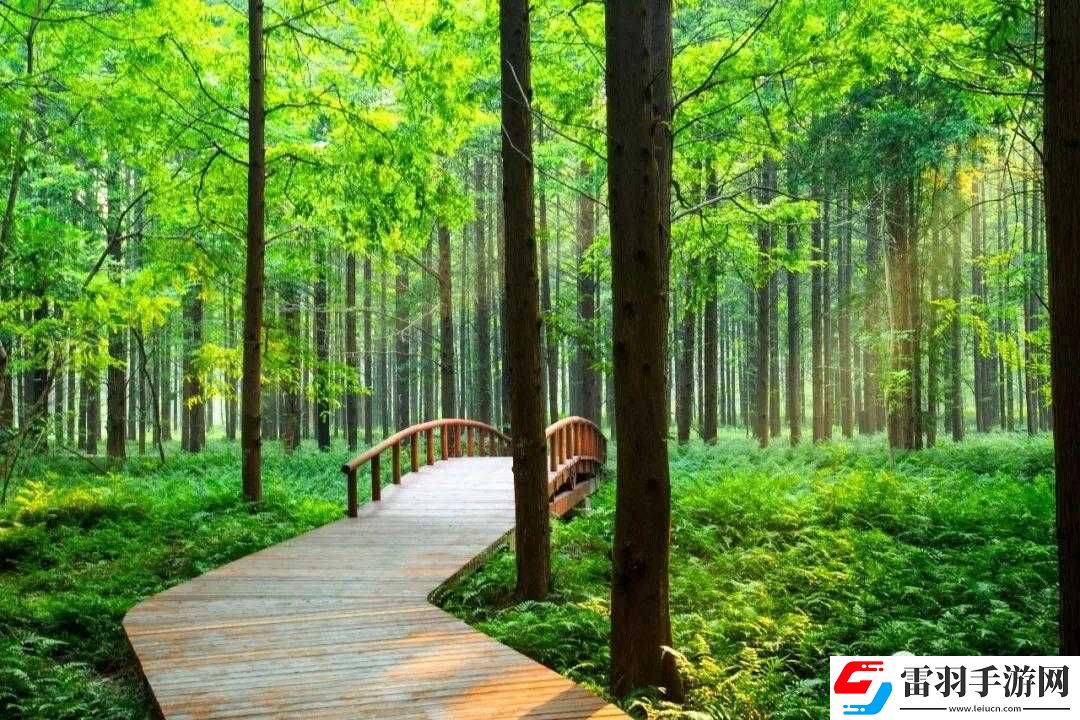 邁開腿去探索嘗嘗你的森林別樣體驗(yàn)