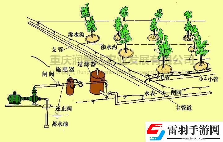 蘇軟軟的灌溉奇遇