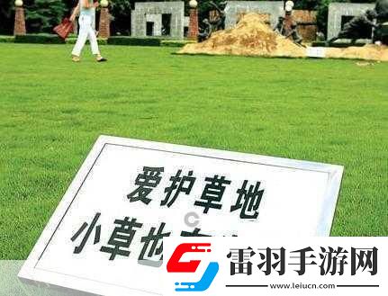 小草回家永不迷路2024