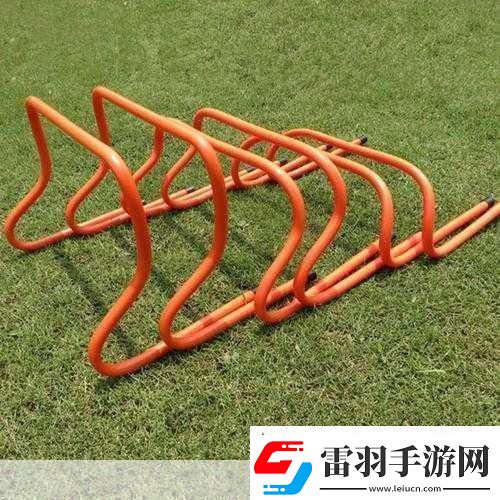 放學(xué)后的體育器材