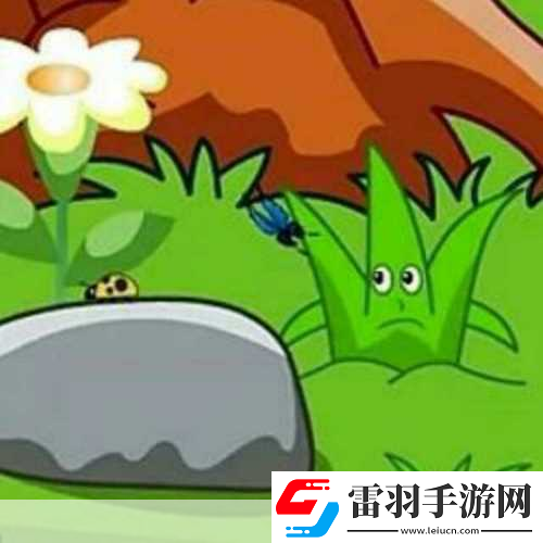 小草回家永不迷路2024