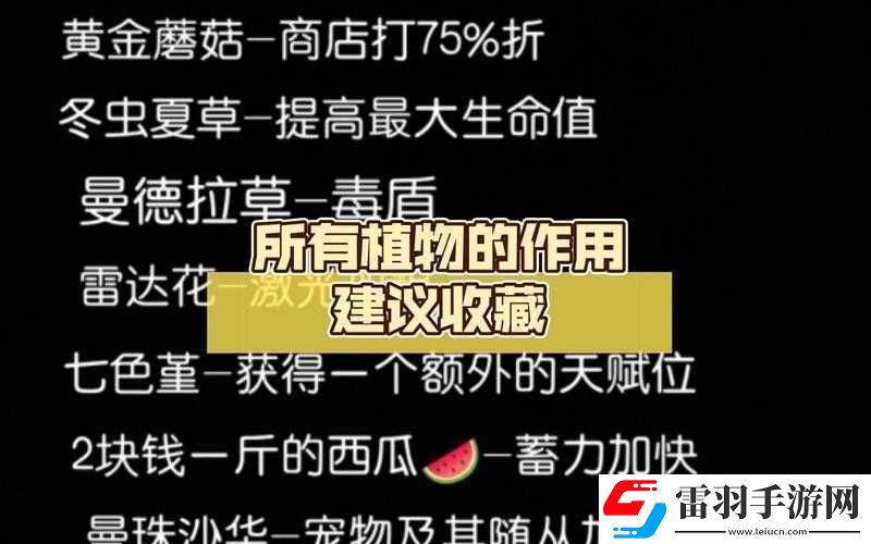 元氣騎士冬蟲夏草的作用及具體用法全面詳細(xì)解析