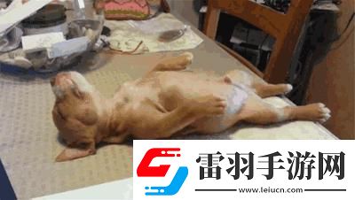 睡意朦朧