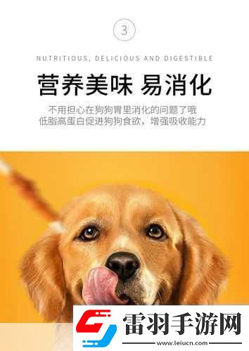 人狗膠配方大全狗狗全面解析狗狗營(yíng)養(yǎng)配方與健康照護(hù)秘訣