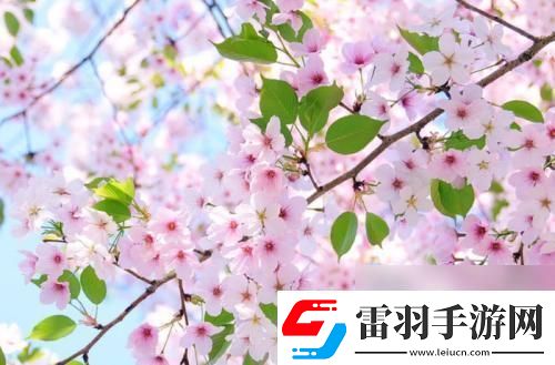 300好感原來(lái)你是個(gè)“玩弄”人心的家伙！
