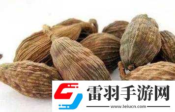 鹽母