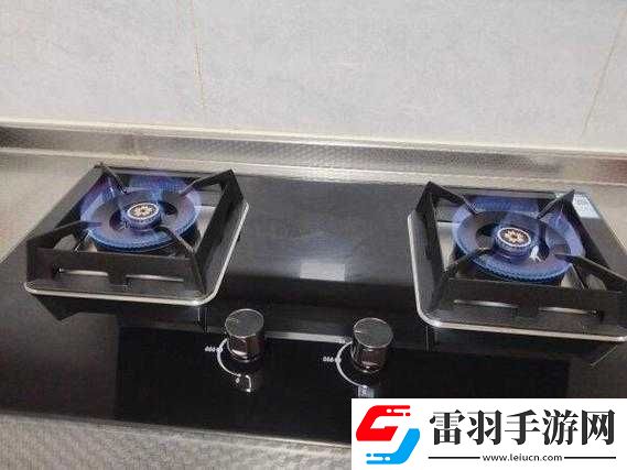 肉食家庭食取報告