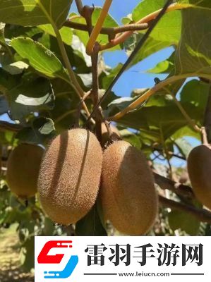 寶寶抬頭靠墻C動(dòng)作的諸多益處