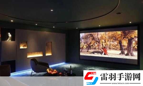 成都私人家庭影院的推薦理由韓國(guó)