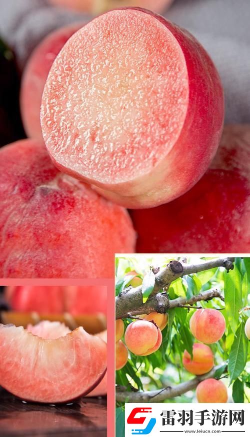 桃醉意國(guó)界的新晉網(wǎng)紅！