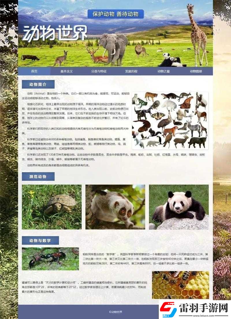 成品站入口頁(yè)版怎樣打開之方法解析