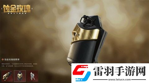 三角洲行動蝕金玫瑰外觀什么樣