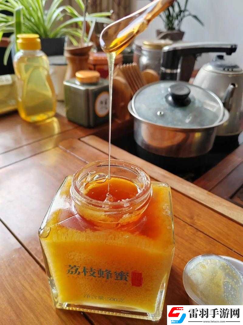 濕苔