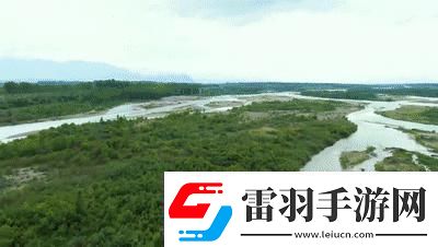 探索免費X站的寶藏