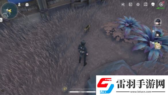鳴潮妙寶堂隱藏小貓寶箱位置在哪