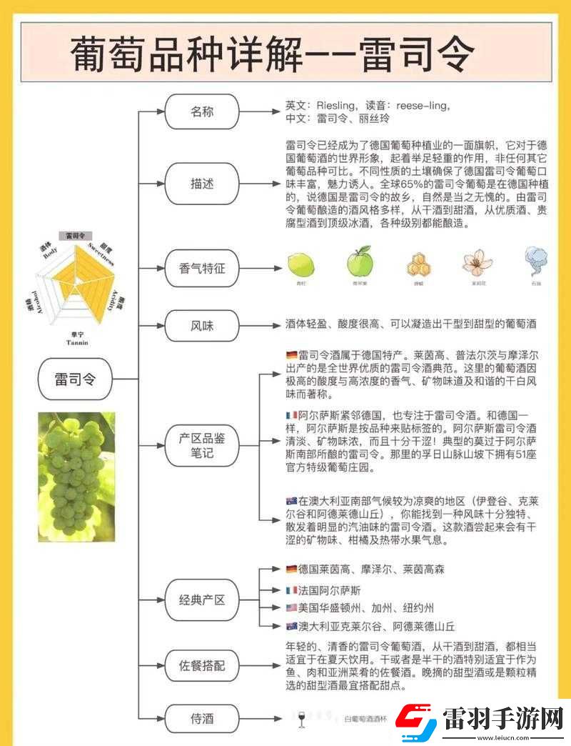 探索