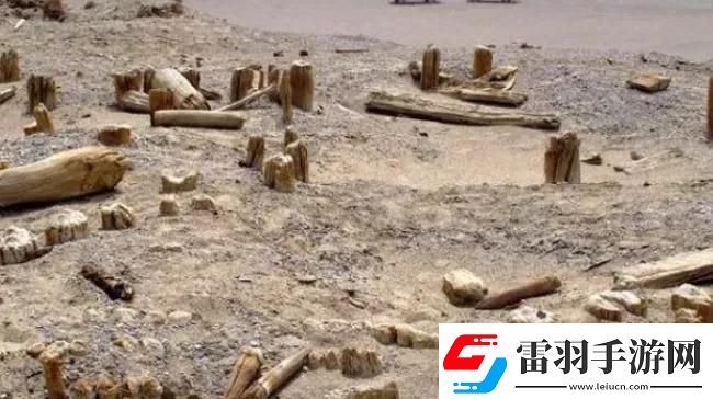 江湖悠悠禁地詳細(xì)通關(guān)攻略