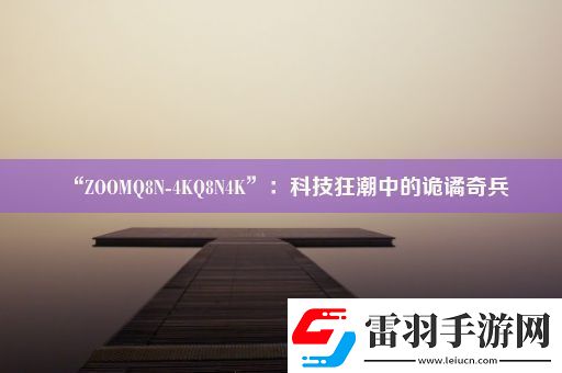 “ZOOMQ8N