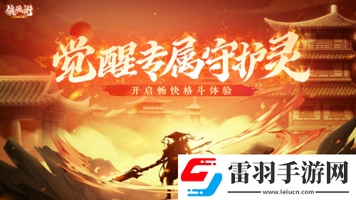 正版IP授權(quán)