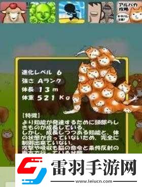 深度解析***兄貴