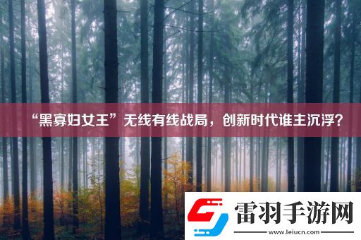 “黑寡婦女王”無(wú)線(xiàn)有線(xiàn)戰(zhàn)局