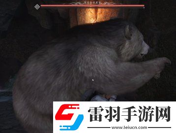 燕云十六聲厚皮白化黑熊怎么打