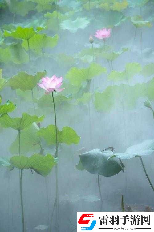女性半夜蓮花開